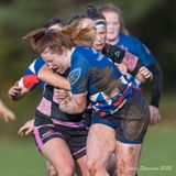 js_2022_howe_ayr_034.jpg