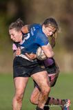 js_2022_howe_ayr_036.jpg