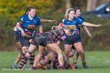 js_2022_howe_ayr_039.jpg