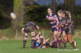 js_2022_howe_ayr_041.jpg