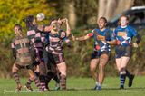 js_2022_howe_ayr_043.jpg