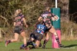 js_2022_howe_ayr_046.jpg