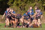 js_2022_howe_ayr_049.jpg