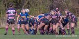js_2022_howe_ayr_052.jpg