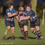 js_2022_howe_ayr_066.jpg