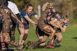 js_2022_howe_ayr_070.jpg