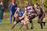 js_2022_howe_ayr_071.jpg