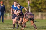 js_2022_howe_ayr_072.jpg