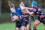 js_2022_howe_ayr_082.jpg