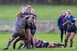 js_2022_howe_ayr_084.jpg