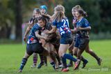 js_2022_howe_ayr_086.jpg