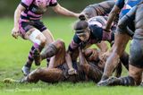 js_2022_howe_ayr_088.jpg