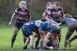 js_2022_howe_ayr_094.jpg