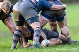 js_2022_howe_ayr_103.jpg