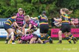 js_2023_ayr_cartha_064.jpg