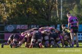 js_2023_ayr_melrose_007.jpg