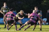 js_2023_ayr_melrose_022.jpg