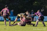 js_2023_ayr_melrose_023.jpg