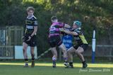 js_2023_ayr_melrose_029.jpg