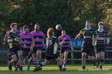 js_2023_ayr_melrose_030.jpg
