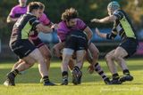 js_2023_ayr_melrose_031.jpg