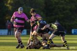 js_2023_ayr_melrose_047.jpg