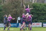 js_2025_ayr_ladies_broughton_003.jpg