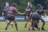 js_2025_ayr_ladies_broughton_018.jpg