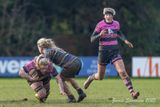 js_2025_ayr_ladies_broughton_027.jpg