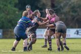 js_2025_ayr_ladies_broughton_028.jpg