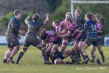 js_2025_ayr_ladies_broughton_038.jpg
