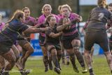 js_2025_ayr_ladies_broughton_056.jpg