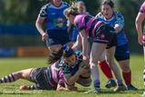 js_2025_ayr_ladies_wigtownshire_011.jpg