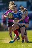 js_2025_ayr_ladies_wigtownshire_038.jpg
