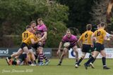 js_2025_ayr_currie_007.jpg