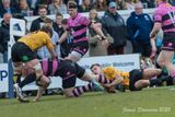 js_2025_ayr_currie_011.jpg