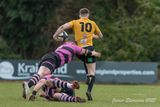js_2025_ayr_currie_014.jpg