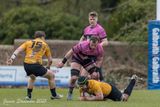js_2025_ayr_currie_016.jpg