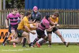 js_2025_ayr_currie_039.jpg