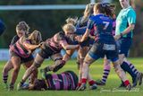 JS_2025_ayr_ladies_wigtownshire_015.jpg