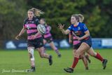 JS_2025_ayr_ladies_wigtownshire_028.jpg