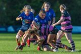 JS_2025_ayr_ladies_wigtownshire_032.jpg
