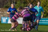 JS_2025_ayr_ladies_wigtownshire_033.jpg