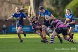 JS_2025_ayr_ladies_wigtownshire_042.jpg