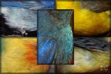 Celestial Aviary original