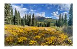 Cliff Creek Trail - Kebler Pass, Colorado