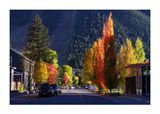 fallcoloursJacksonWY.jpg