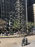 IMG_4907.jpeg