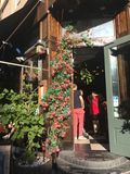 IMG_4909.jpeg