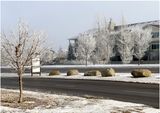IMG_3850-Airdrie.jpg
